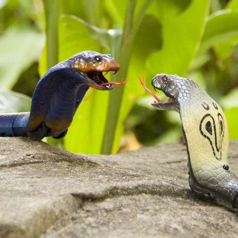 RC serpent réaliste serpent jo - Ir Infrared Receiver avis et prix